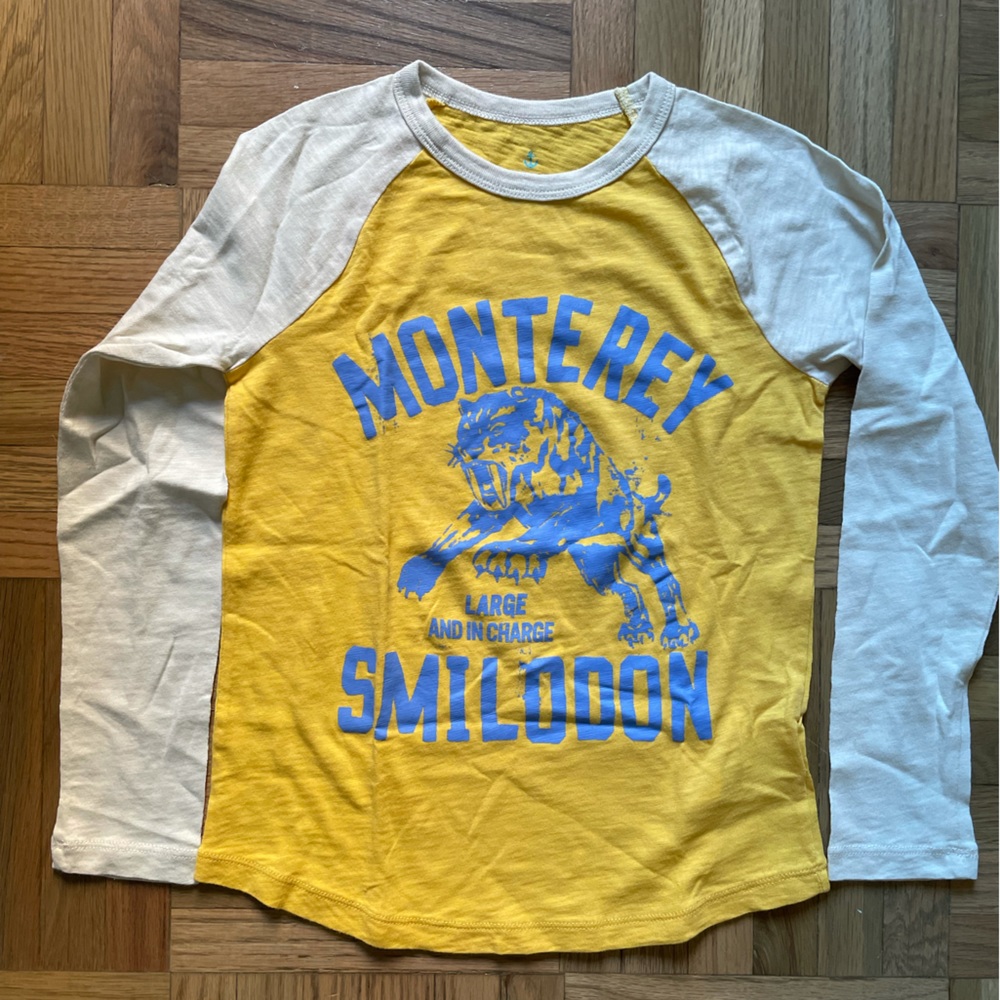 CREWCUTS Boys 8 Lind sleeve T-Shirt never worn